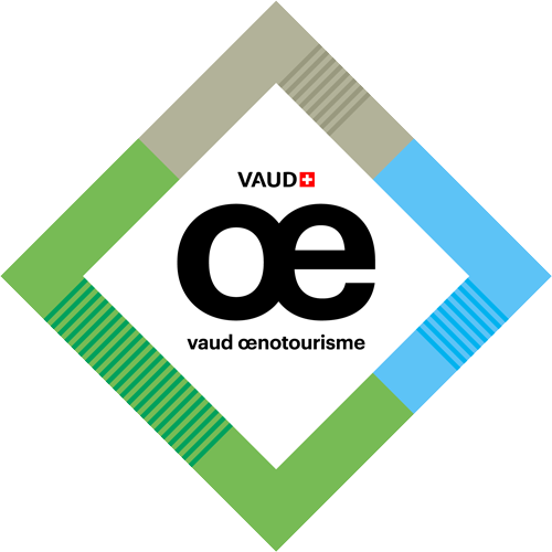 logo-voe